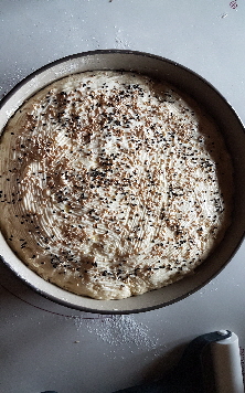 20180923_125410 20180923_125410